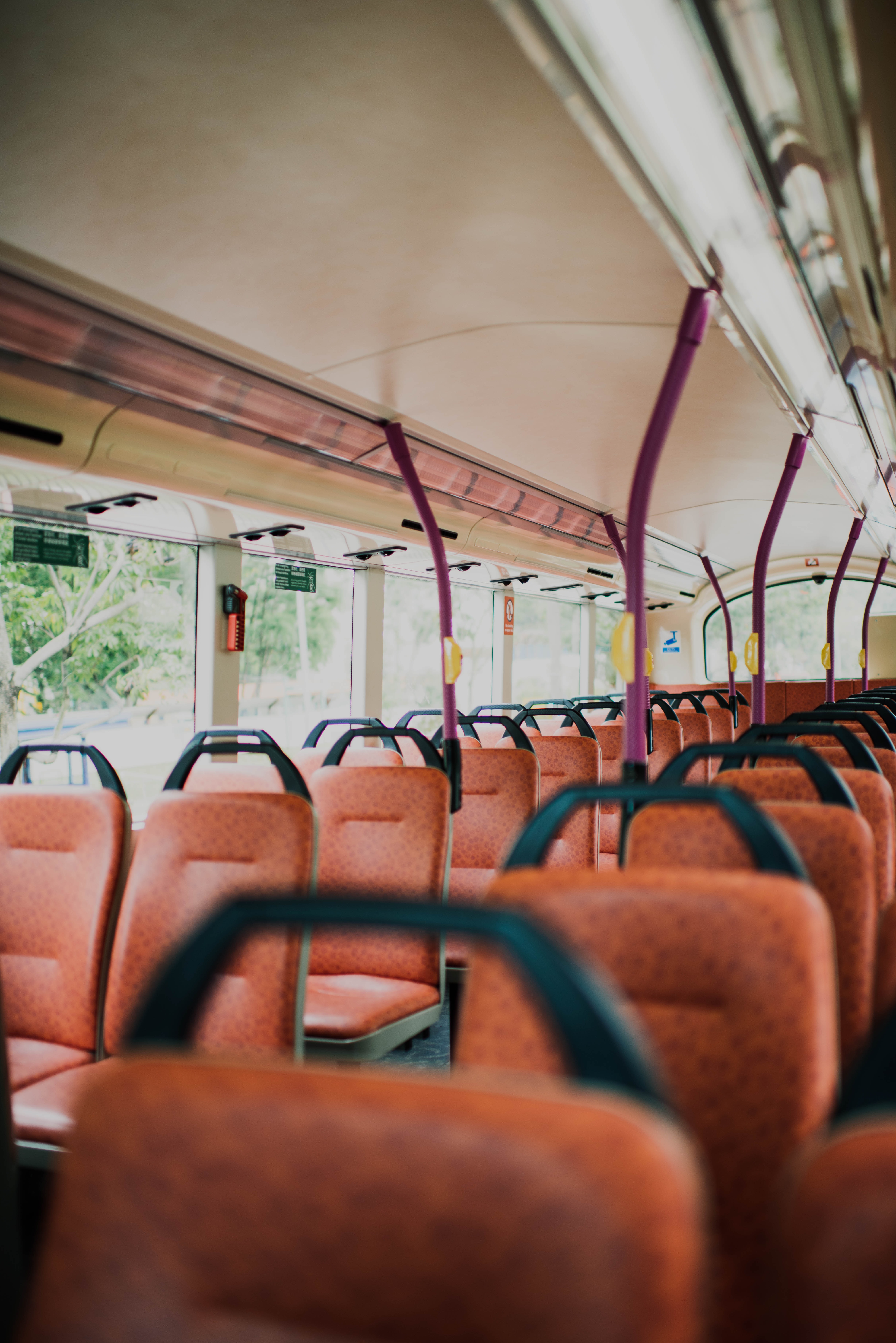 interior-bus